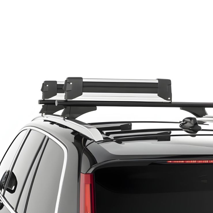 Owen Porte-skis Advanced Argent